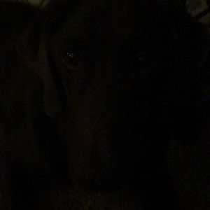 Meet your Posher, Tracey